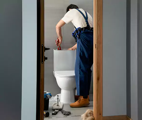 Professional Plumbers for Toilet Bowl Replacement in Northbrook, IL: Schedule Affordable Toilet Replacement Services With Us