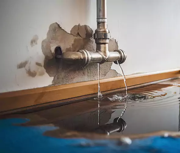 Professional Water Damage Restoration Experts in Northbrook, IL — Fast, Reliable & Certified