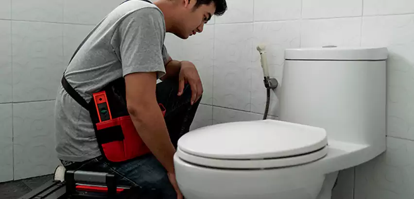 Toilet Repair in Northbrook
