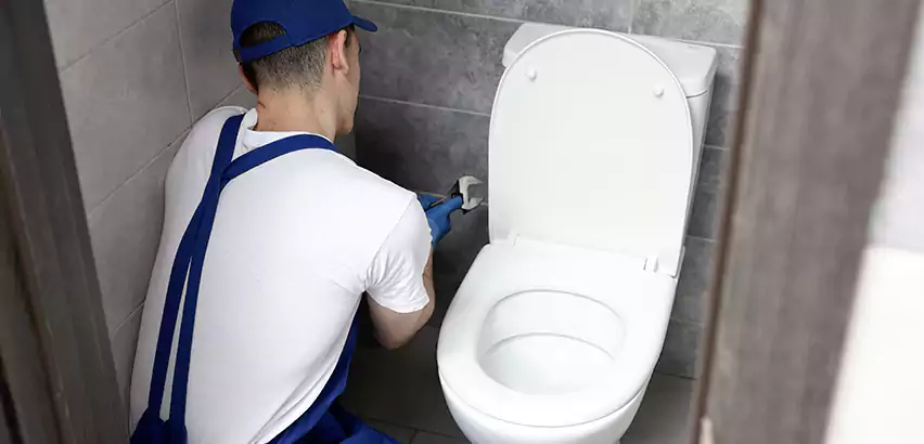 Toilet Lid Replacement in Northbrook