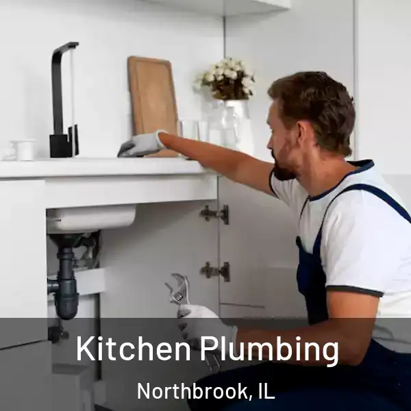  Kitchen Plumbing Northbrook, IL