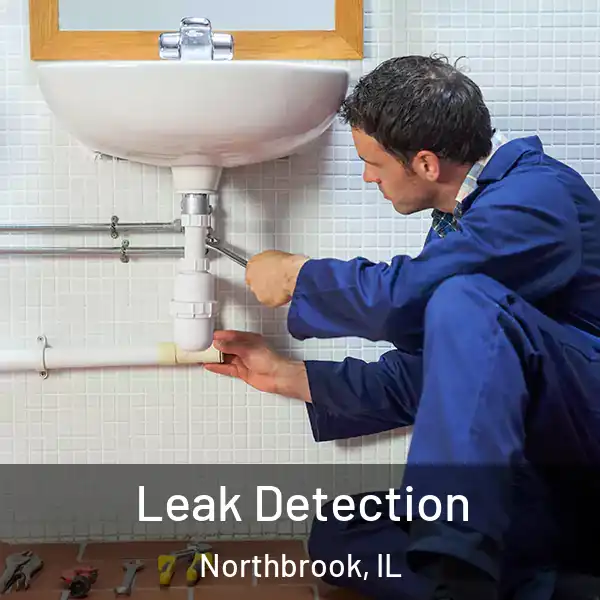  Leak Detection Northbrook, IL
