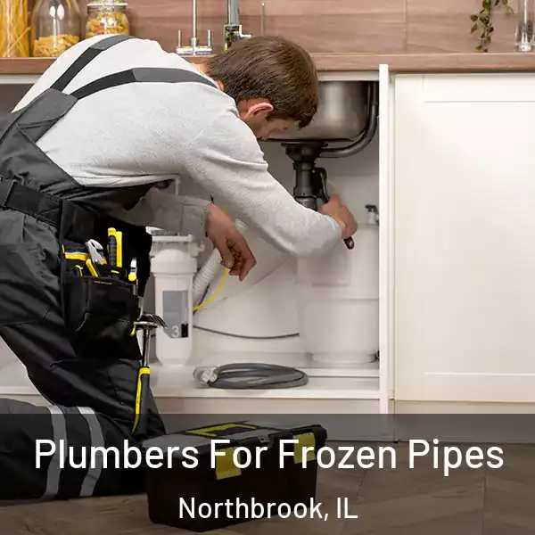  Plumbers For Frozen Pipes Northbrook, IL