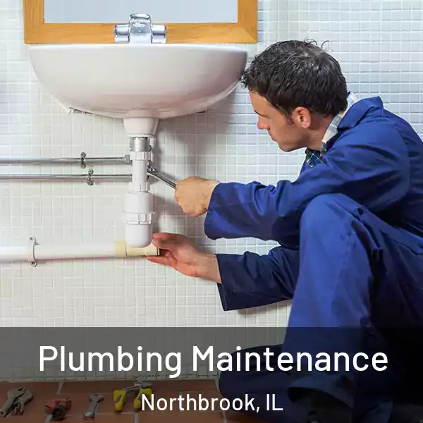  Plumbing Maintenance Northbrook, IL
