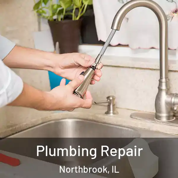  Plumbing Repair Northbrook, IL