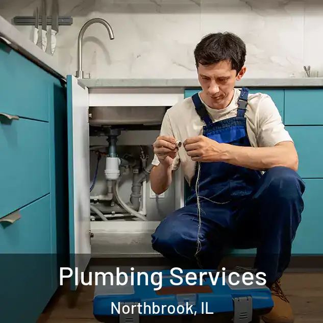  Plumbing Services Northbrook, IL