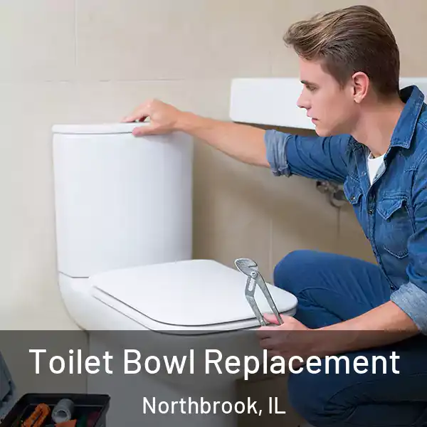  Toilet Bowl Replacement Northbrook, IL