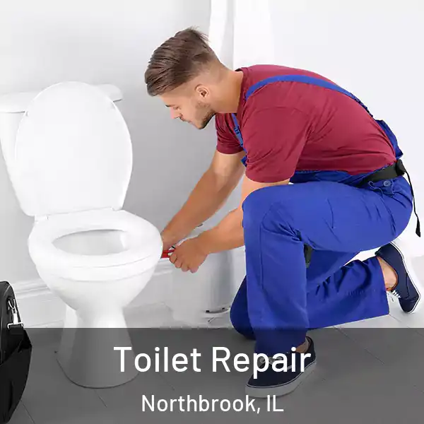  Toilet Repair Northbrook, IL