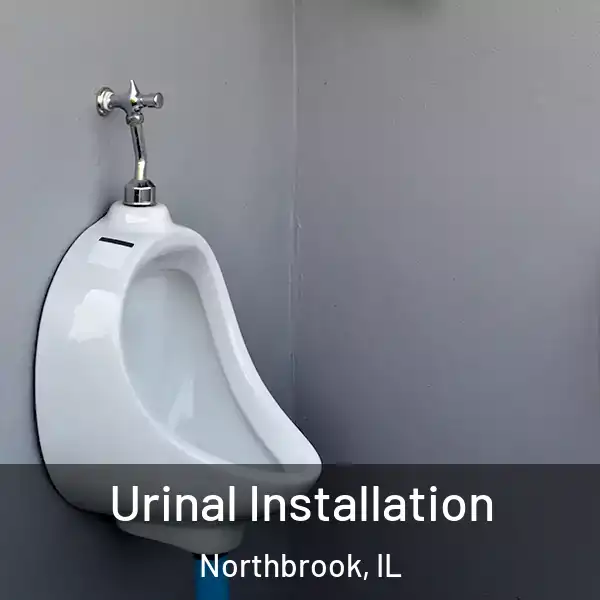  Urinal Installation Northbrook, IL